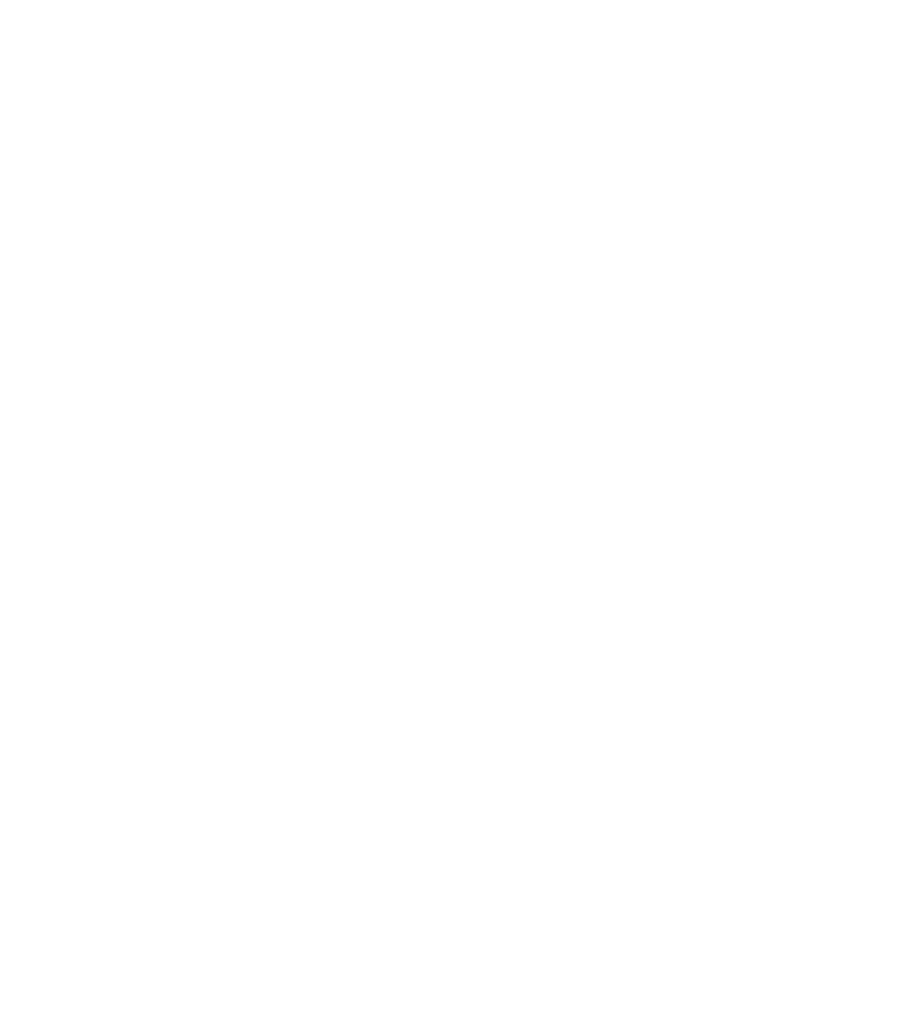 Shaolin Kung Fu Association Hungary Logo